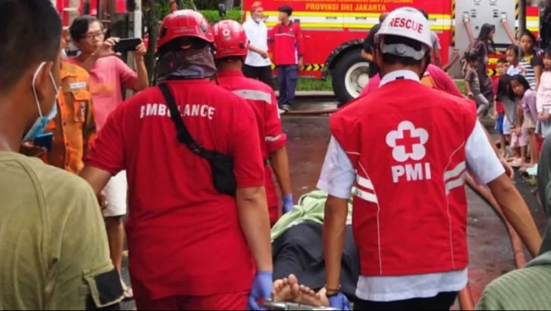 A5484f71 35a3 43e2 8652 c7902584e229