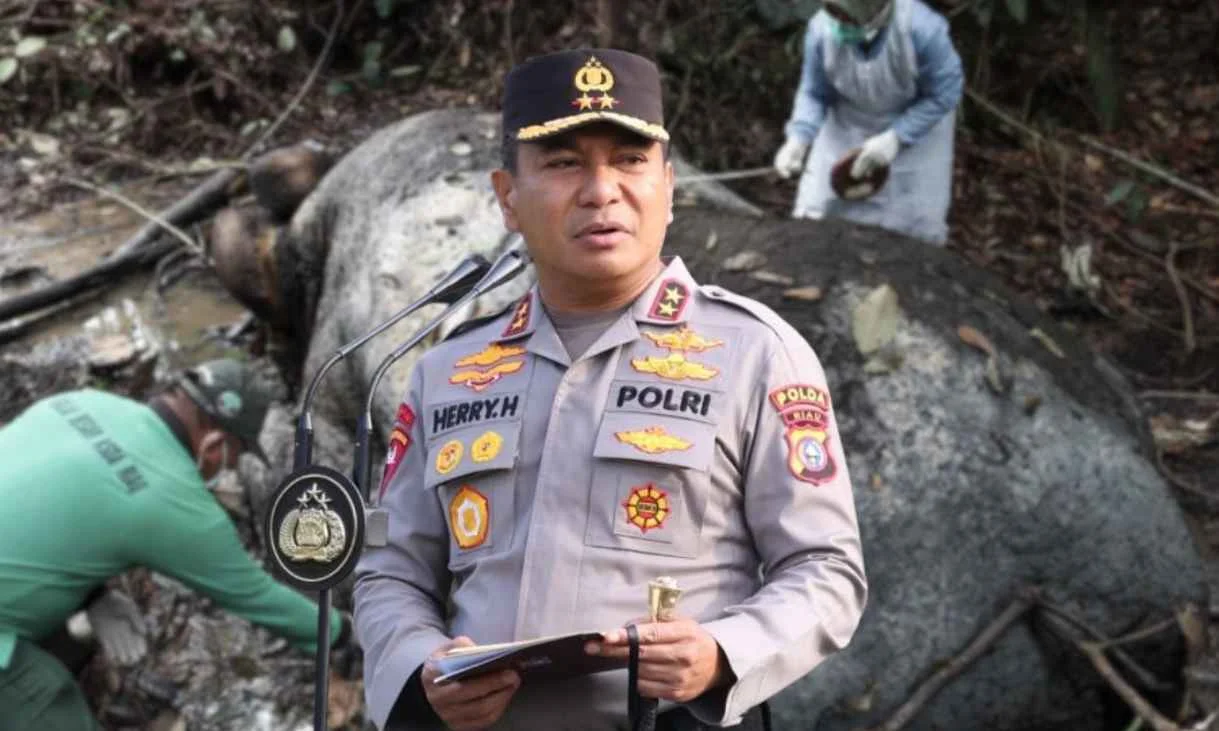 Desain tanpa judul 20260207 082739