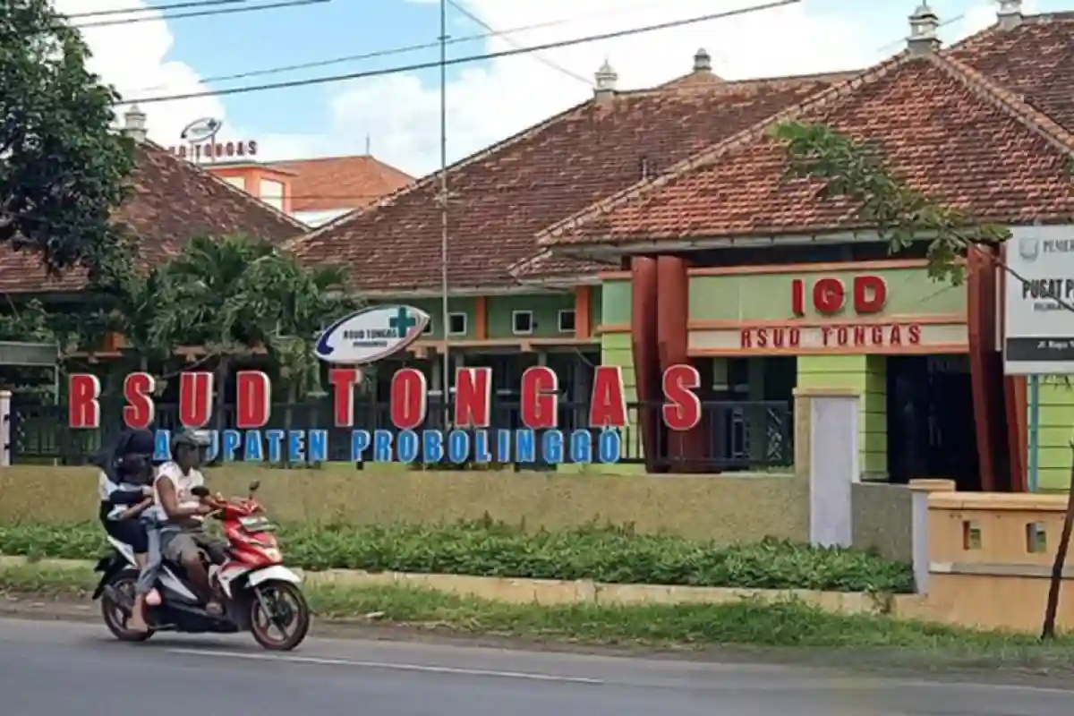 Lumii 20260316