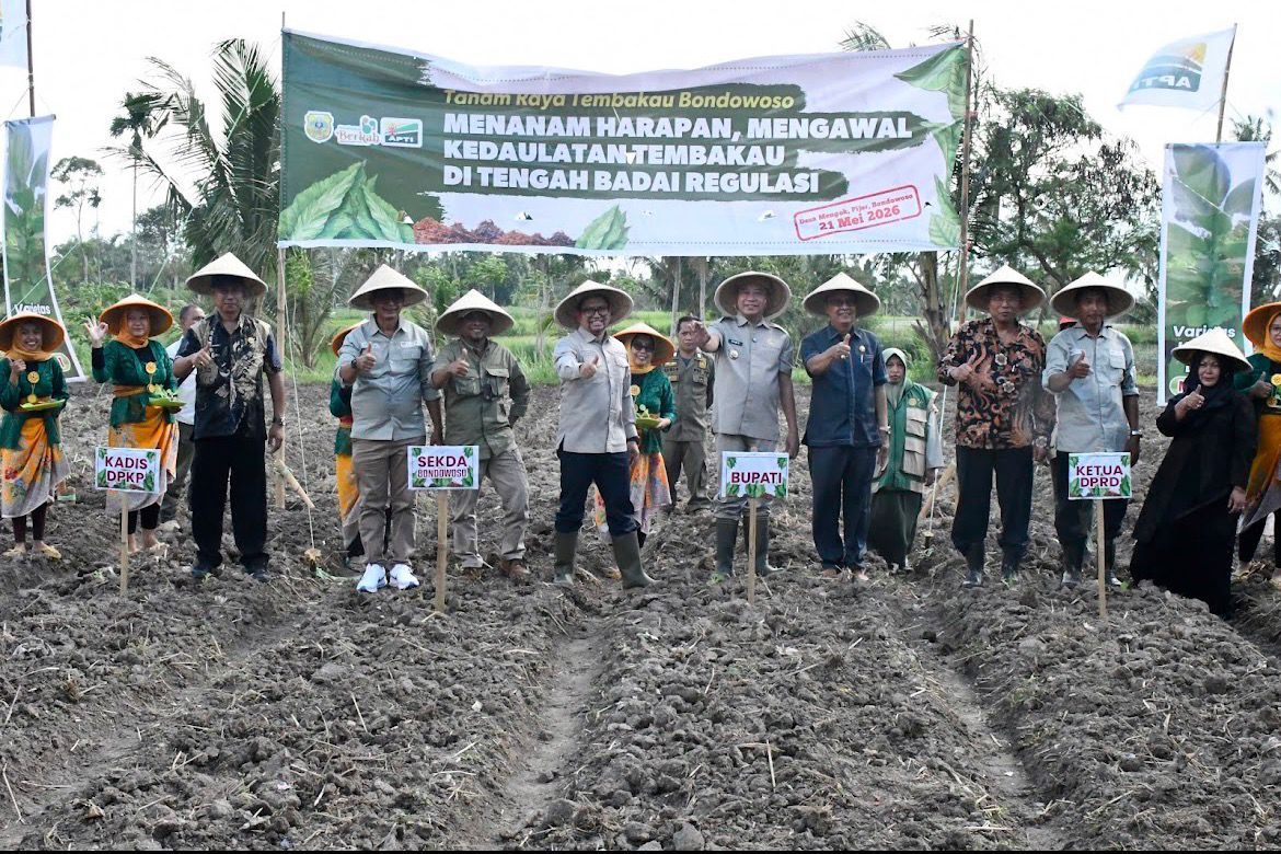 Petani tembakau Bondowoso