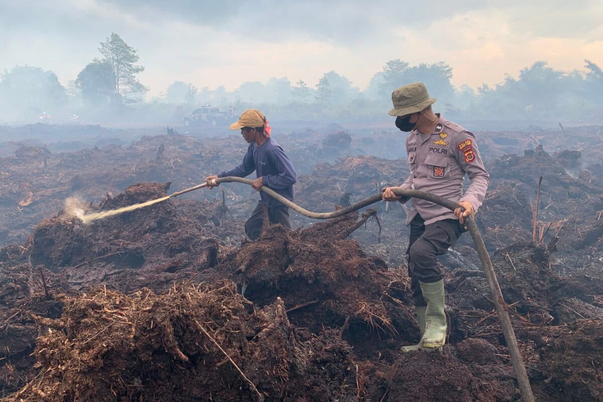 Kebakaran di Desa Gambut
